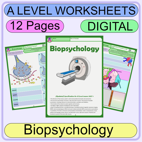 Worksheets: